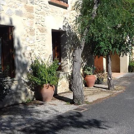 Appartamento Chez Sheila Cucugnan Esterno foto