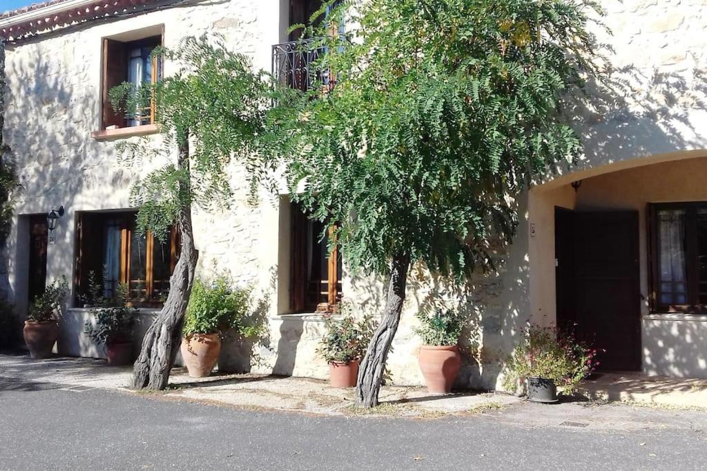Appartamento Chez Sheila Cucugnan Esterno foto
